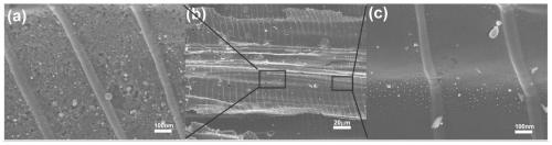 Thick-layer three-dimensional vertical graded multi-channel graphitized active wood source carbon electrode and preparation method thereof