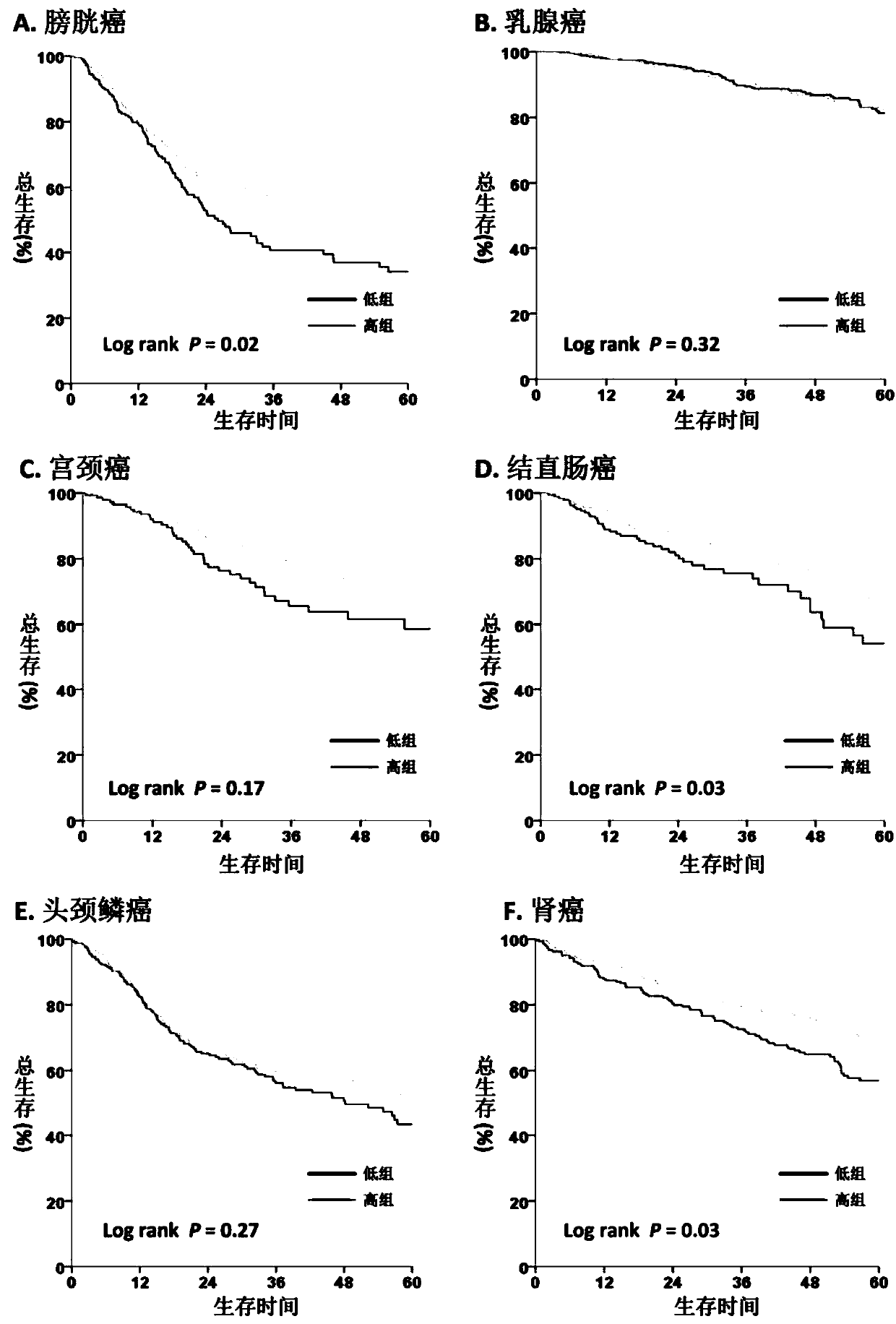 Kit for evaluating solid tumor clinical prognosis or immune characteristics