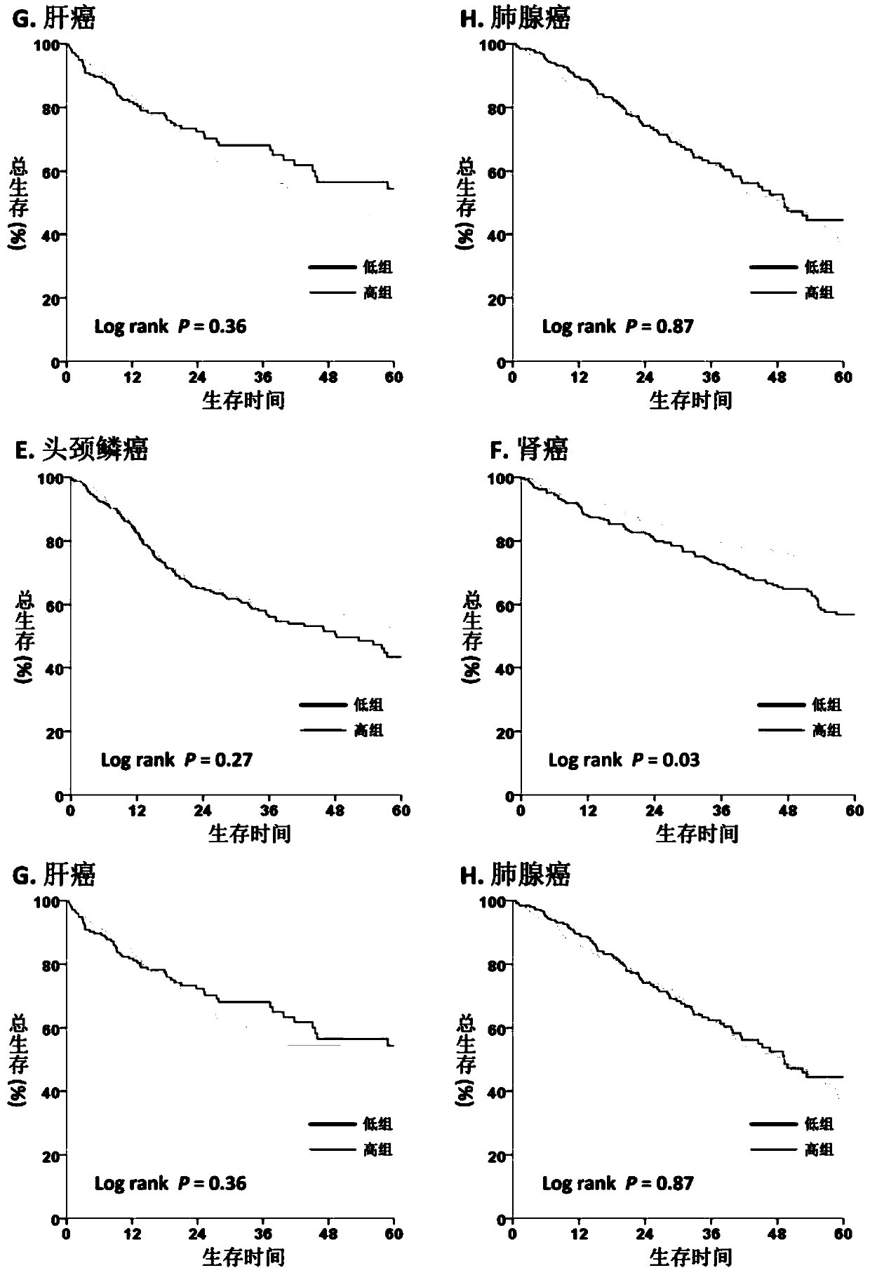 Kit for evaluating solid tumor clinical prognosis or immune characteristics