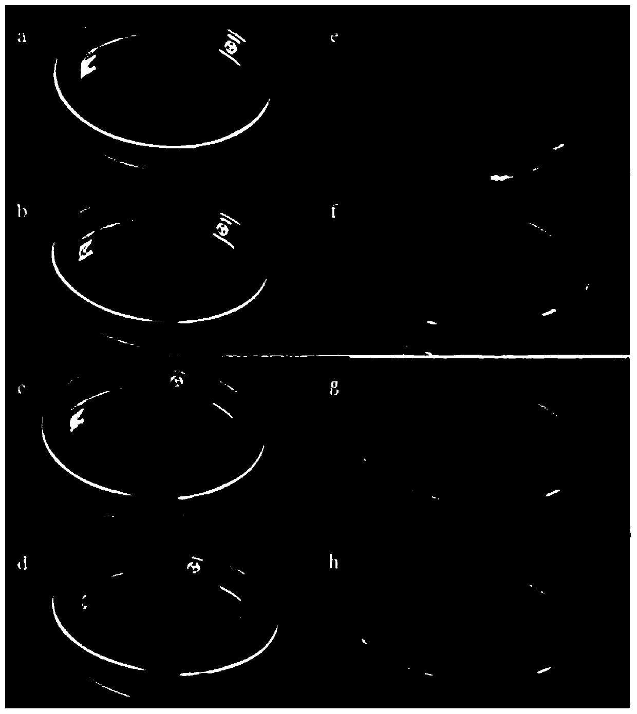 Preparation method of traditional Chinese medicine black hair dye added with natural transdermal absorption penetration enhancers as dye penetrants