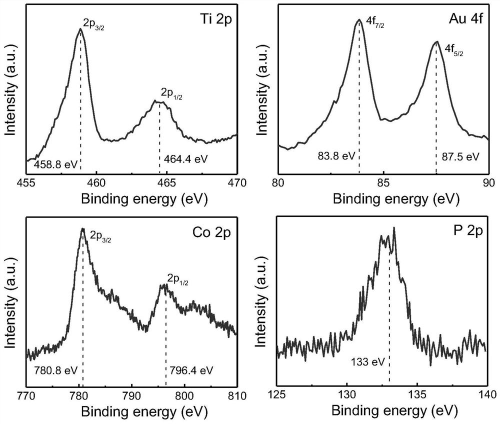 a tio  <sub>2</sub> Fabrication method of /au/copi composite nanotube array photoanode