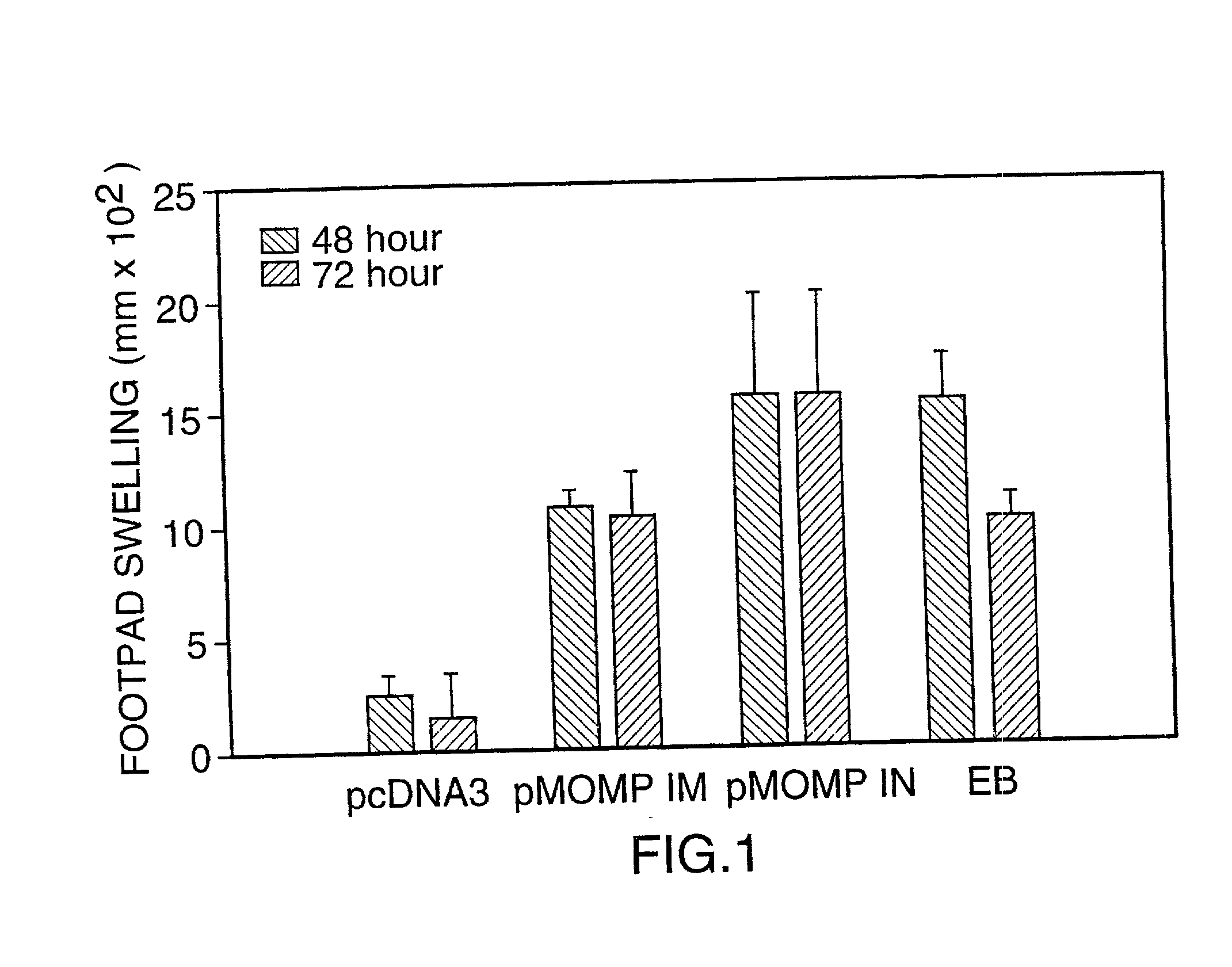 DNA immunization against chlamydia infection