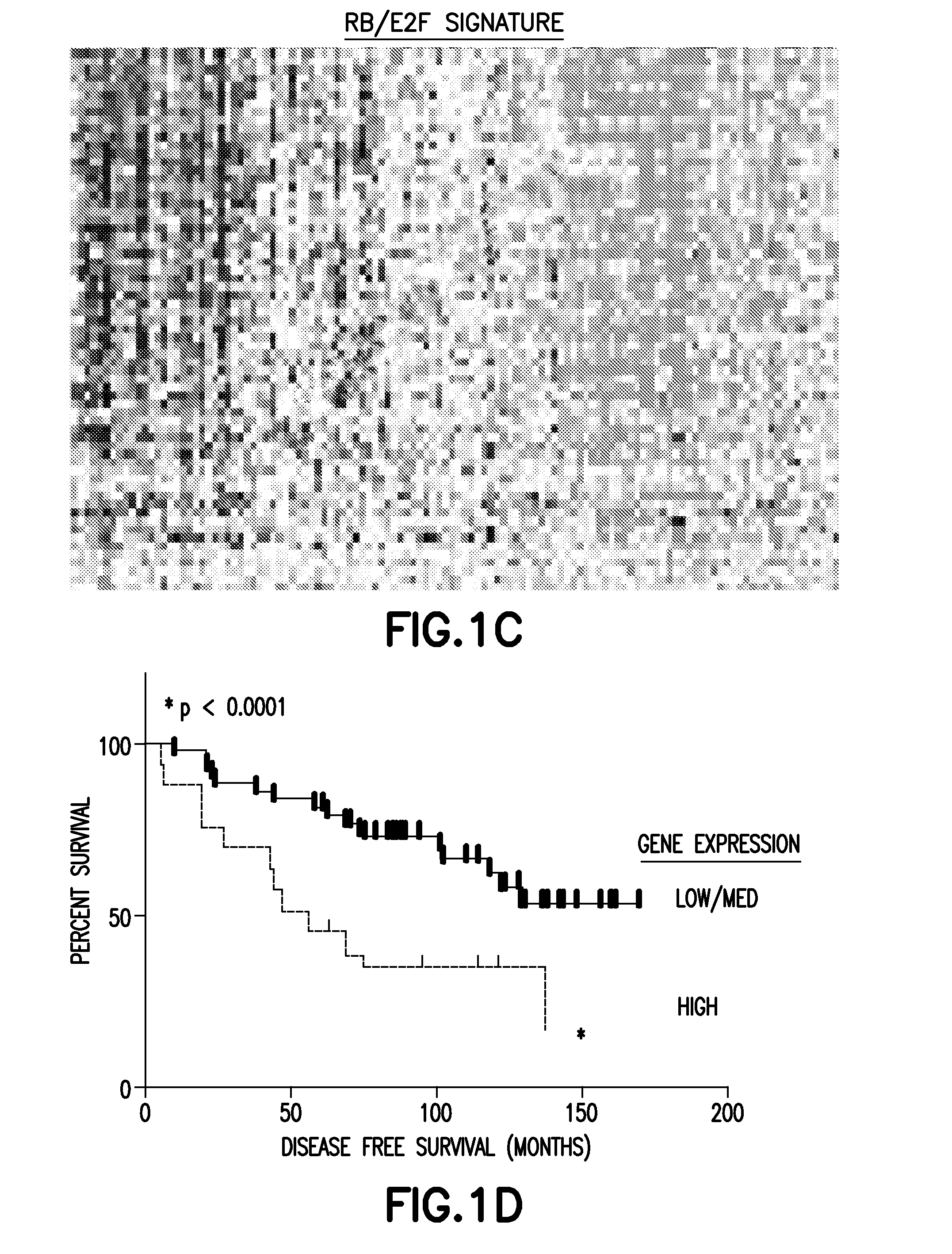 Method of Diagnosis or Prognosis of a Neoplasm Comprising Determining the Level of Expression of a Protein in Stromal Cells Adjacent to the Neoplasm