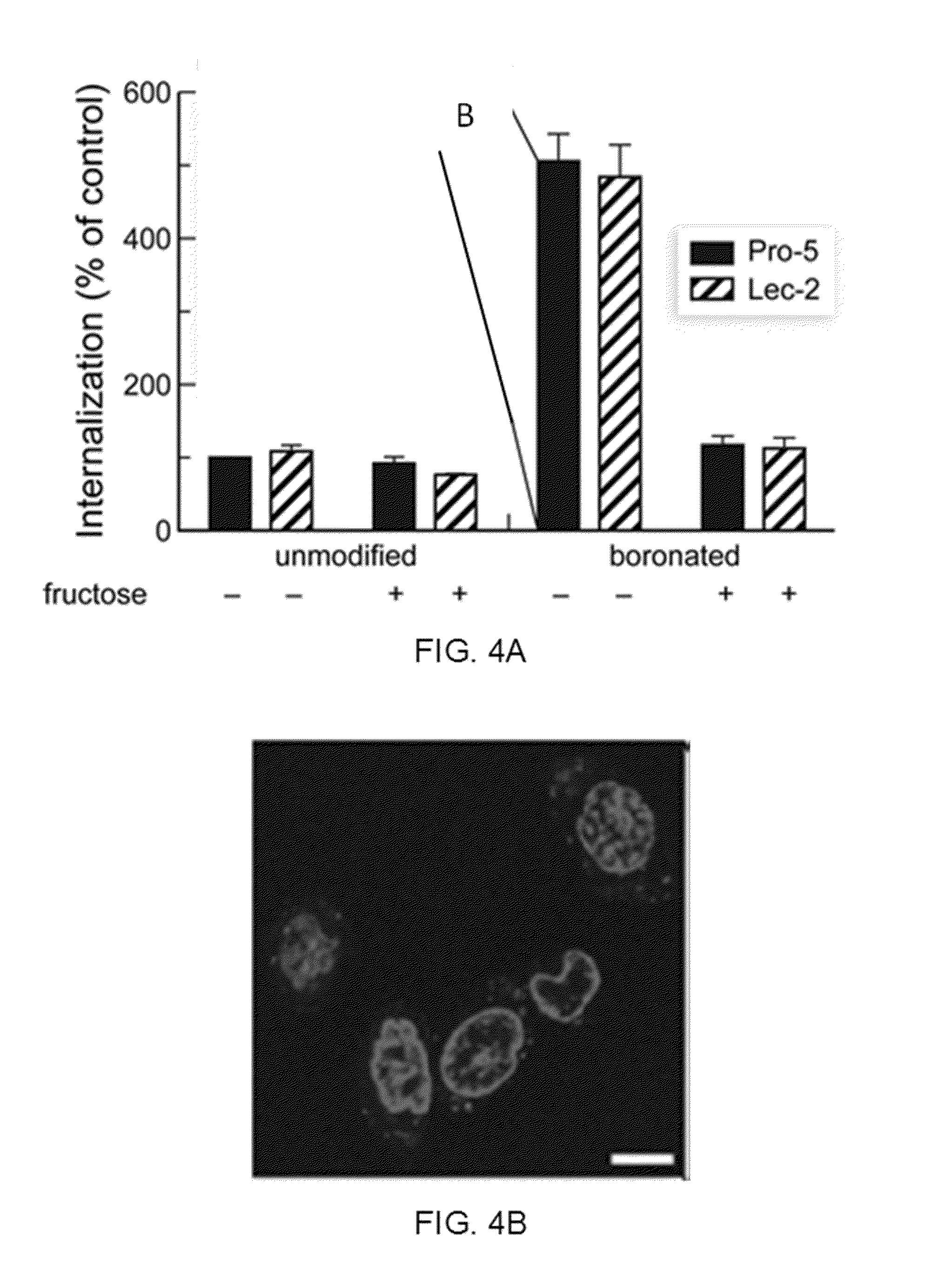 Boronate-Mediated Delivery of Molecules into Cells