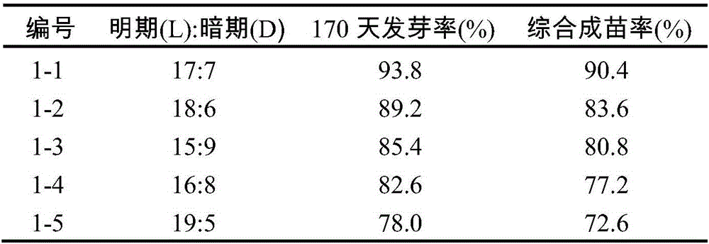 Panax japonicus var.major seedling method and culture method