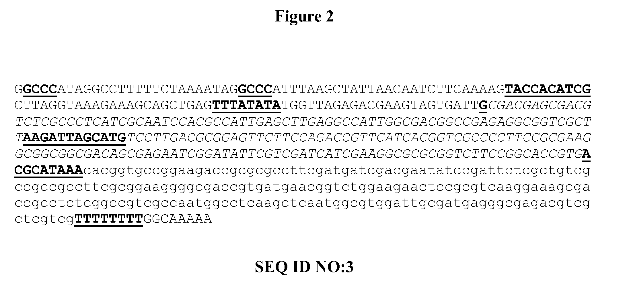 Polynucleotide molecules for gene regulation in plants