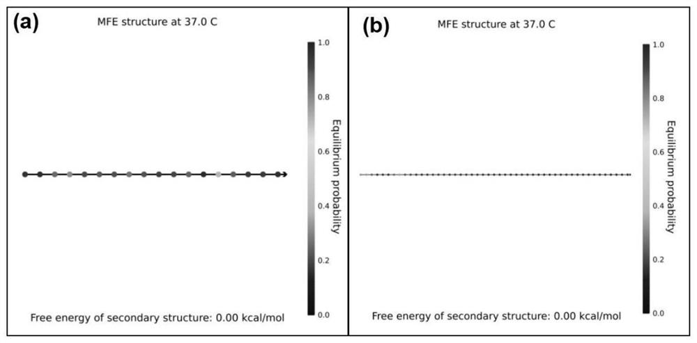 Detection probe, kit and direct detection method for telomerase activity