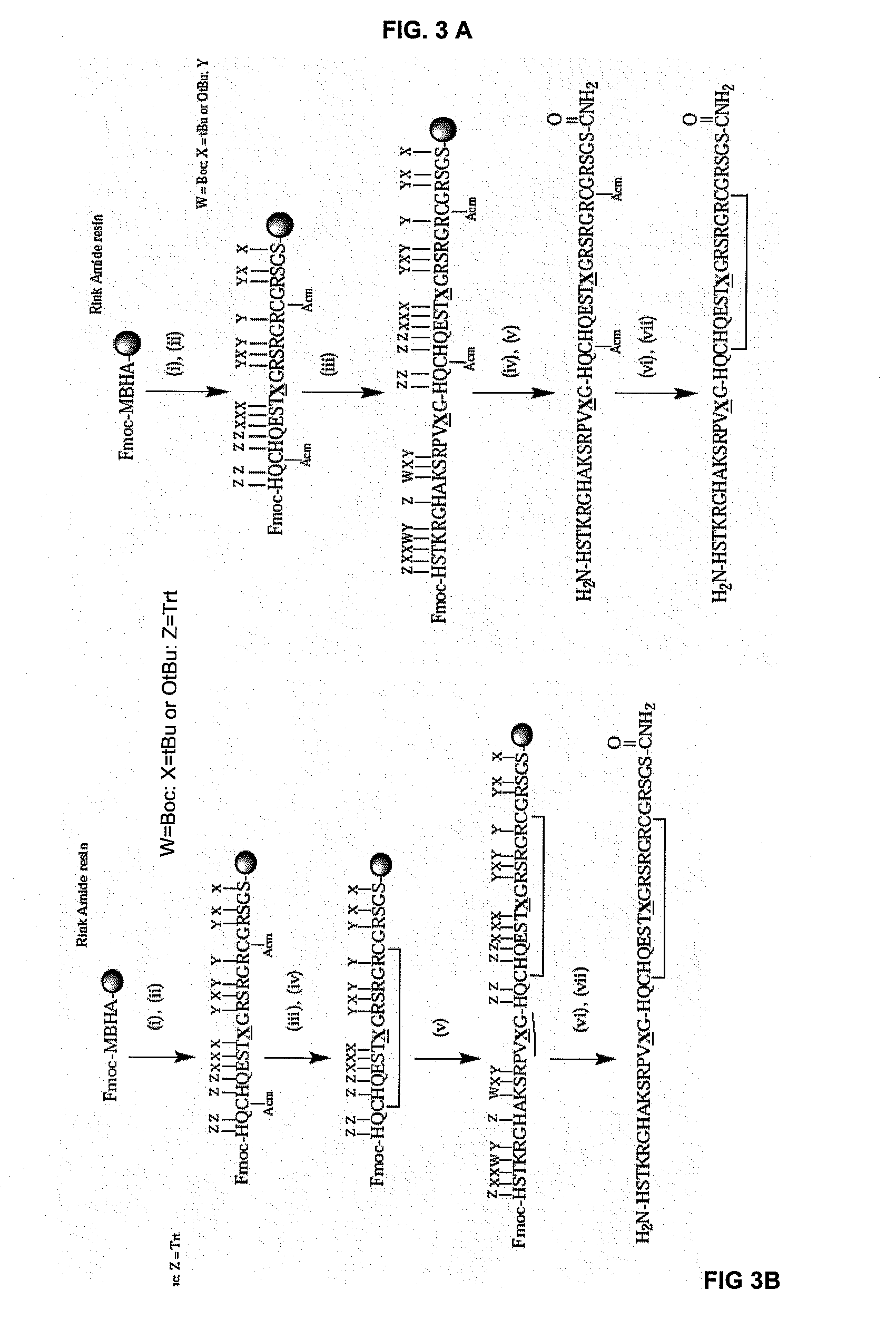 Citrullinated fibrin-filaggrin chimeric polypeptide capable of detecting the antibodies generated in rheumatoid arthritis