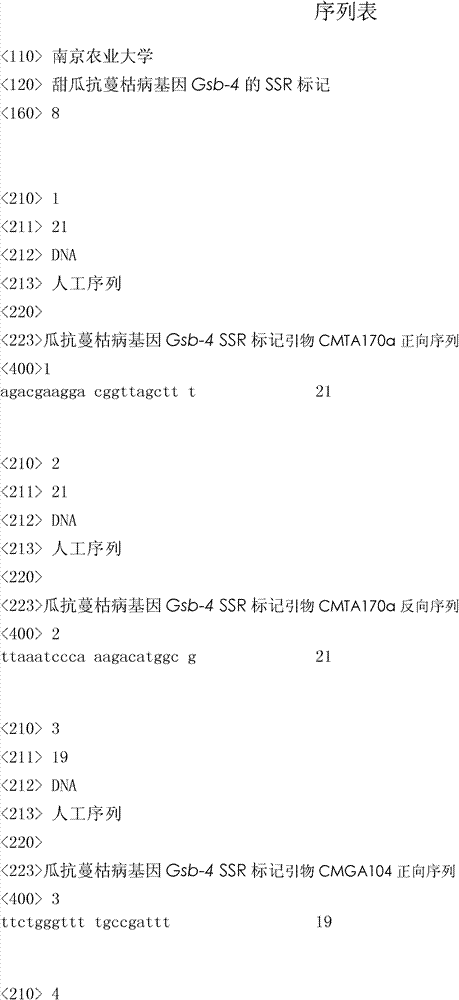 SSR (Simple Sequence Repeats) marker of gummy stem blight resistant gene Gsb-4 of melon