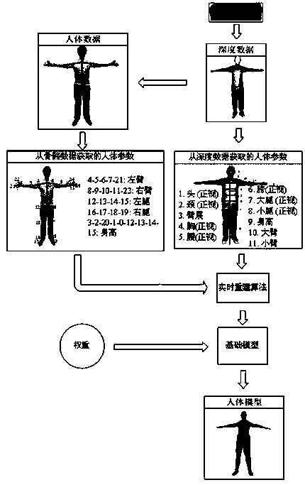 Human body modeling method based on depth sensor