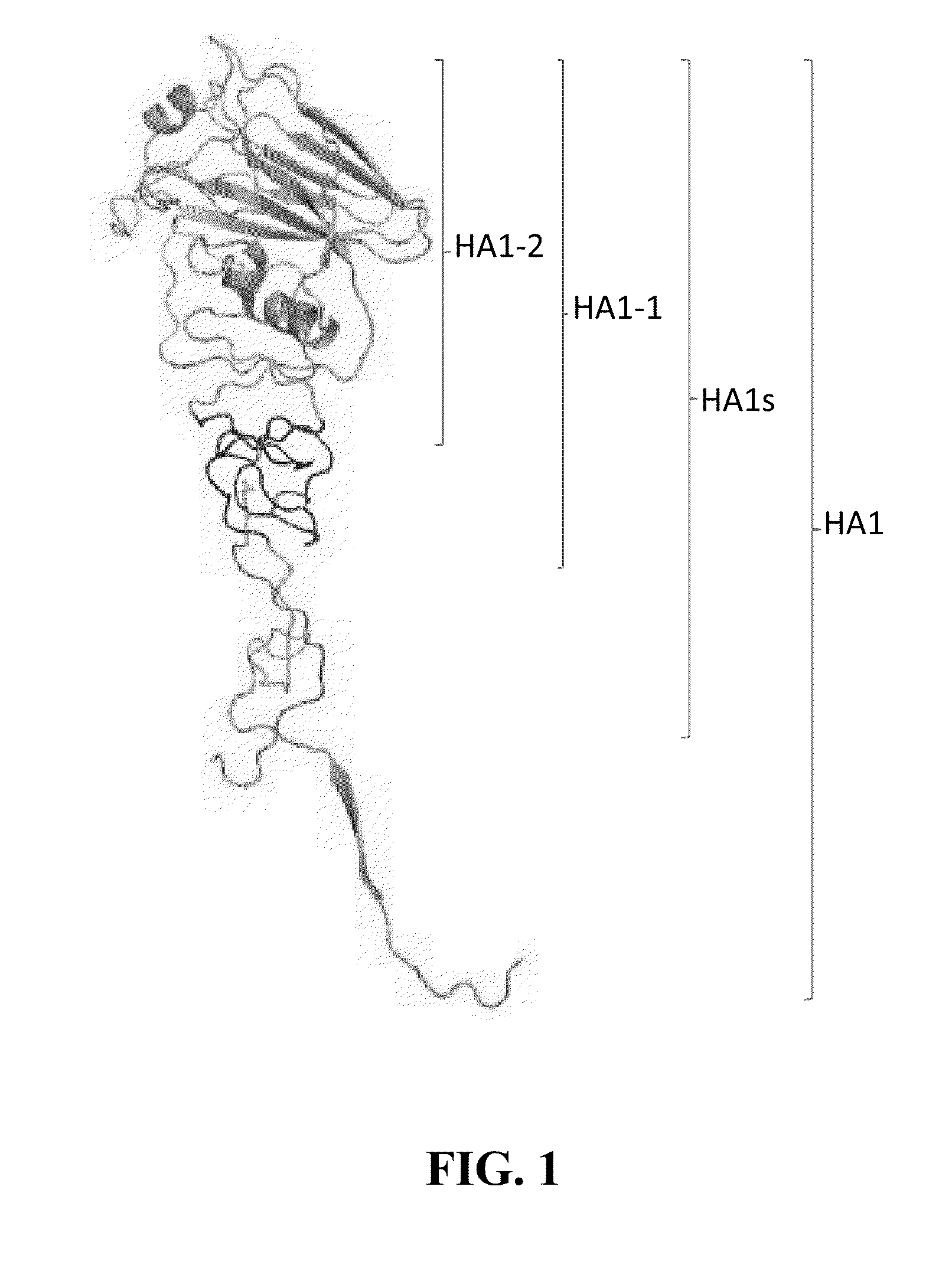 Compositions with enhanced immunogenicity and/or reduced reactogenicity