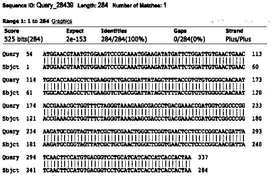 Antigen for detecting sperm antibody and its expression vector, kit and detection method