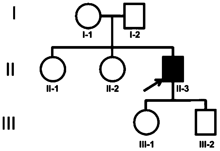 New mutation-causing gene plekhm1 in osteopetrosis, its encoded protein and its application