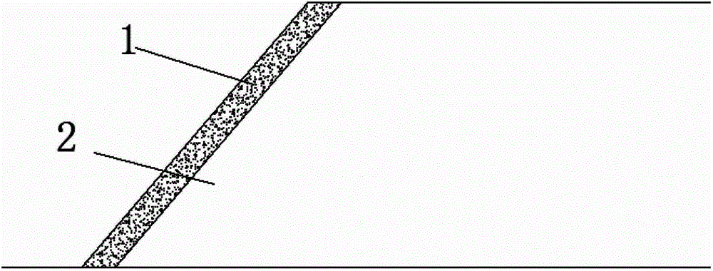 Biological enzyme soil solidification-based side slope ecological protection method