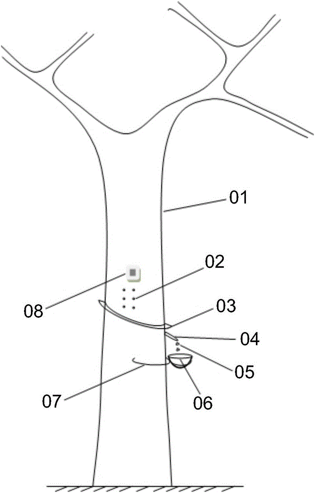 Latex exploration method, latex exploration controller, latex exploration drilling machine, and latex collection system