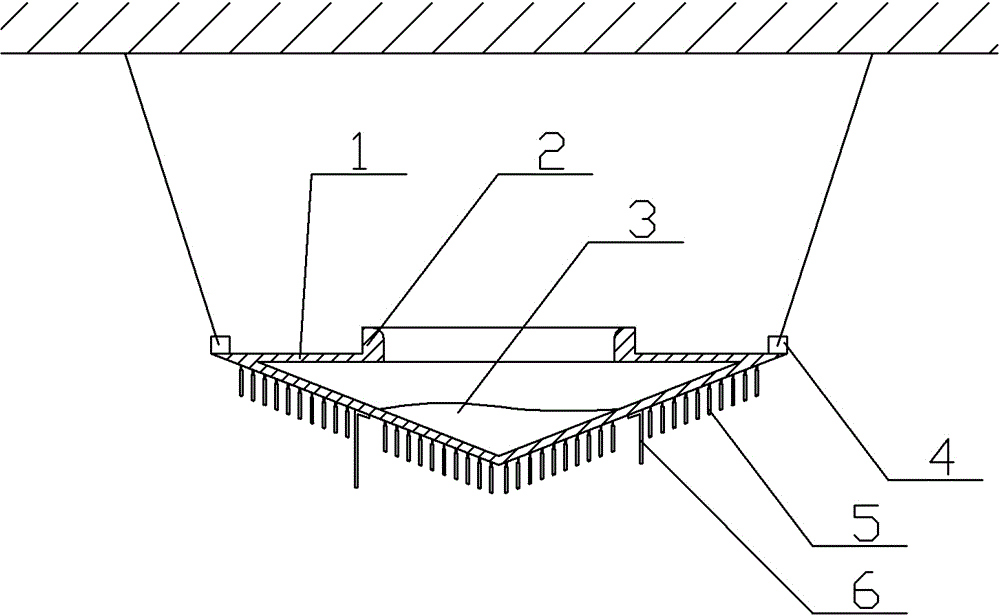 Shoelace placement device