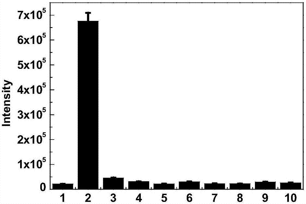 Cyanine-based organic compounds and intermediates thereof, and application of cyanine-based organic compounds and intermediates thereof