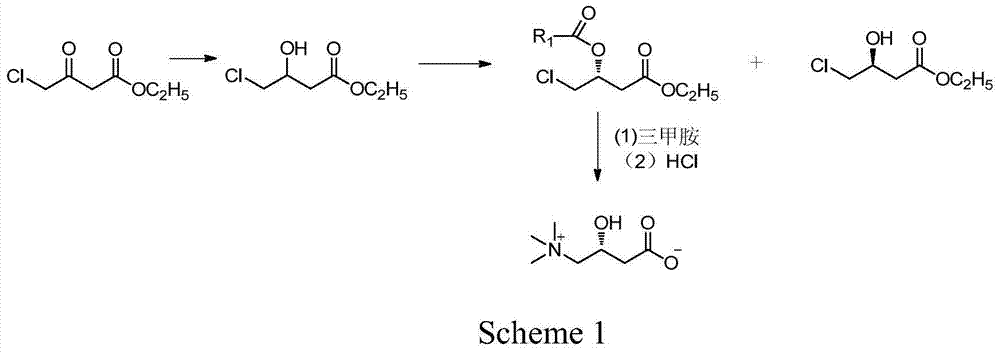 Preparation method for high-optical-purity L-carnitine