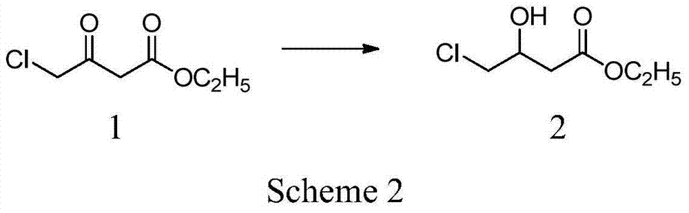 Preparation method for high-optical-purity L-carnitine