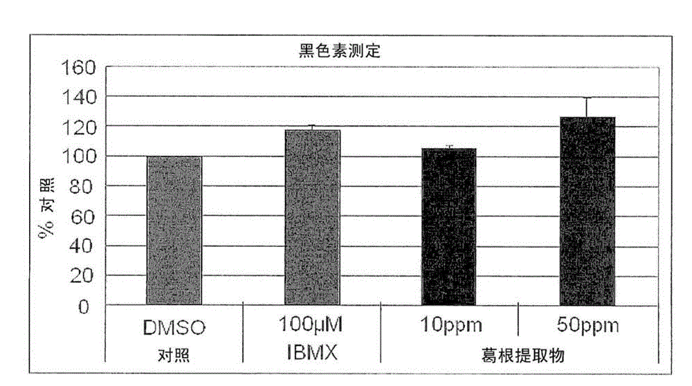 Composition containing kudzu root for prevention of gray hair and treatment of vitiligo