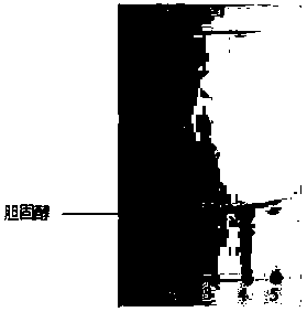 A method for extracting and separating fat-soluble components of three-spotted hippocampus