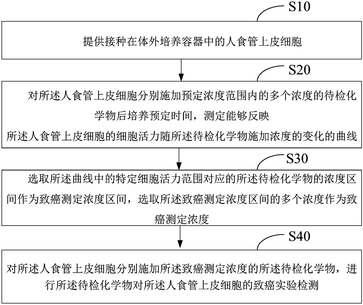 Method for establishing in-vitro detection model of chemical-induced human esophageal cancer