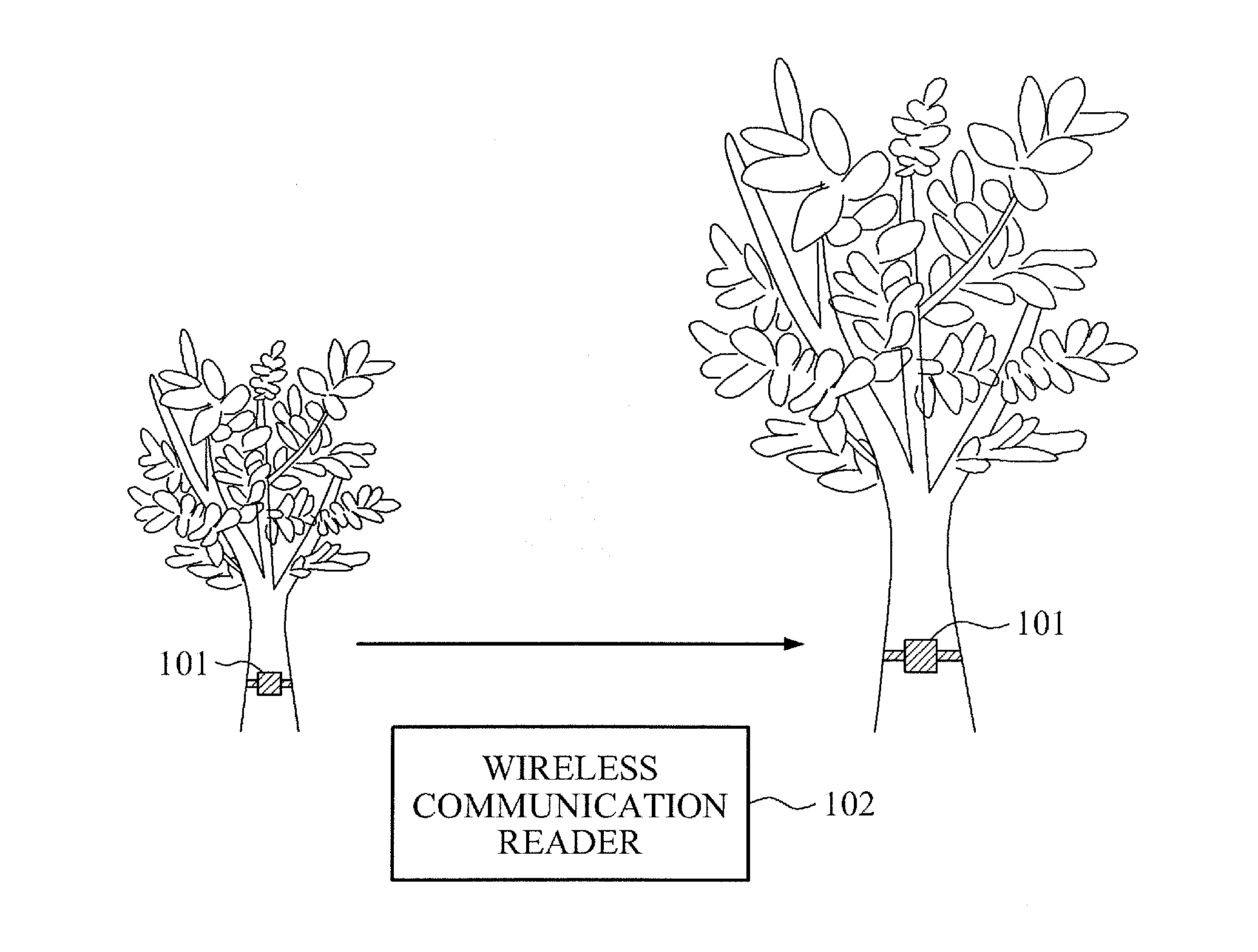 Girth measuring device and method for measuring girth of tree, and wireless communication tag apparatus including girth measuring device