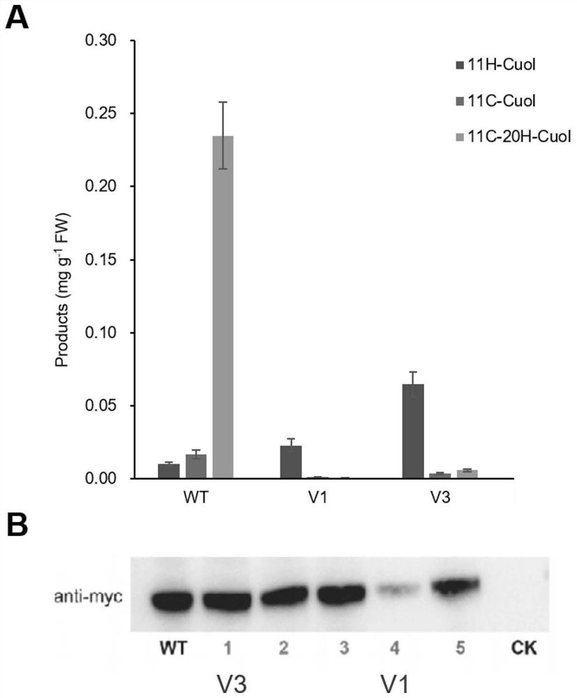 A method for improving enzymes