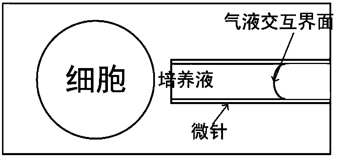 Piezoelectric ultrasonic microinjection method based on elastic modulus of oocyte