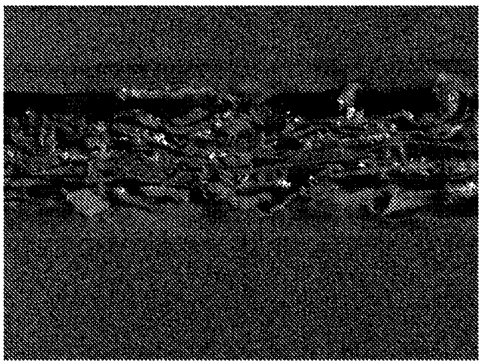 Retention aid and method for producing paper using same