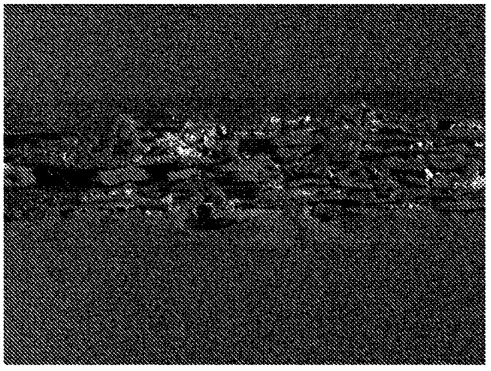 Retention aid and method for producing paper using same