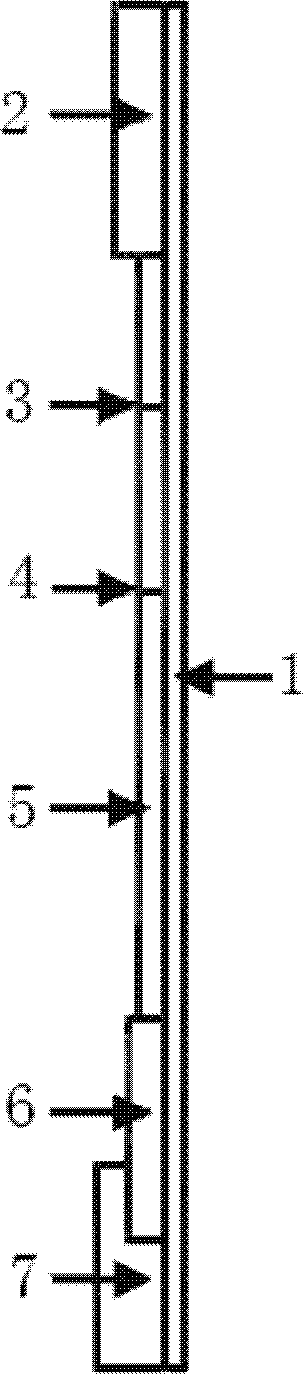 Tool and box for quickly detecting early-stage puerperal convulsion by taking Adipsin as detection index and manufacturing method thereof