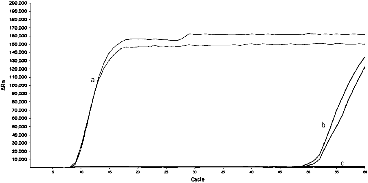 Fluorescence detection kit for detecting prawn enterocytozoon hepatopenaei (EHP) in China