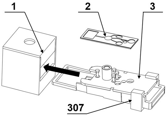 Dual-aptamer functional nucleic acid constant-temperature micro-fluidic chip sensor for microbiological detection