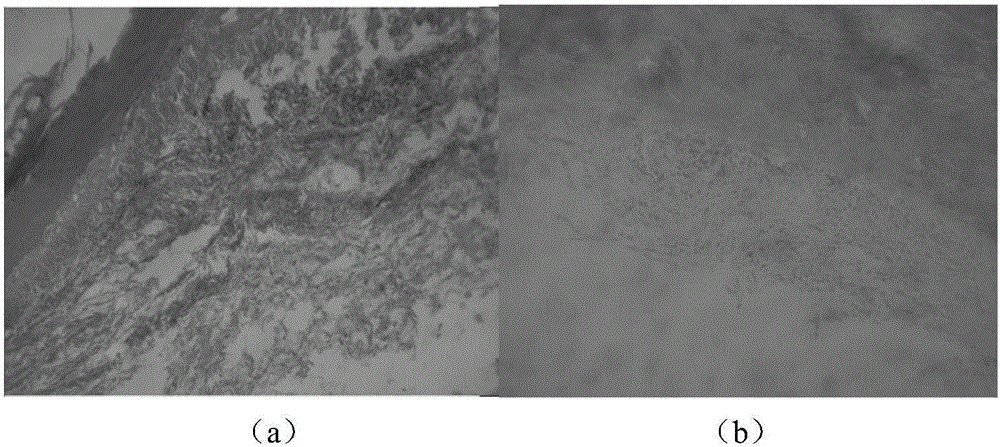 High-durability multi-effect self-crosslinking fluid gel as well as preparation method and application thereof