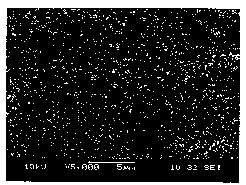 Perovskite type composite oxide catalyst for purifying tail gas of internal combustion engine