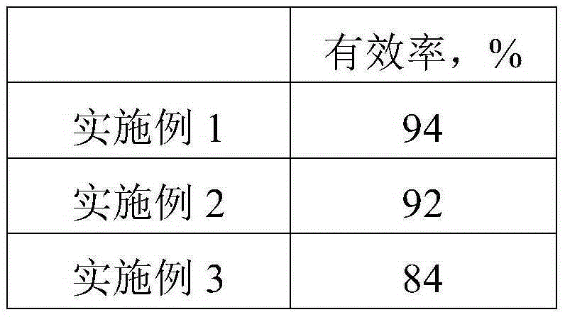 Eye brightening patch and preparation method thereof