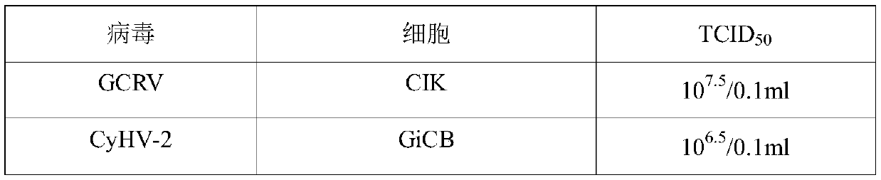 Bacillus licheniformis YFI-2 and application thereof in preparation of drugs for treating viral diseases of freshwater cultured animals