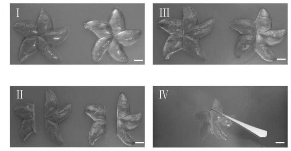 Application of pdes in compression-resistant self-healing three-dimensional stereo sensor, three-dimensional stereo sensor and its preparation method and application