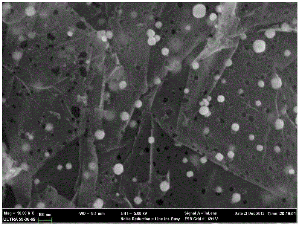 Method for making pores on the surface of graphene