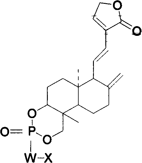 Andrographolide phosphoric acid derivatives and preparation method thereof