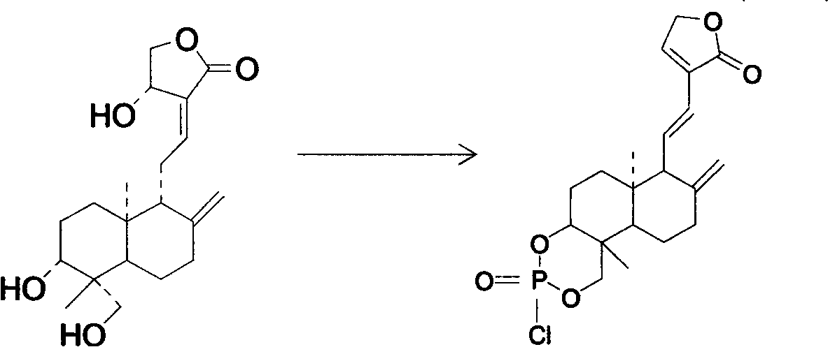 Andrographolide phosphoric acid derivatives and preparation method thereof