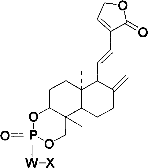 Andrographolide phosphoric acid derivatives and preparation method thereof