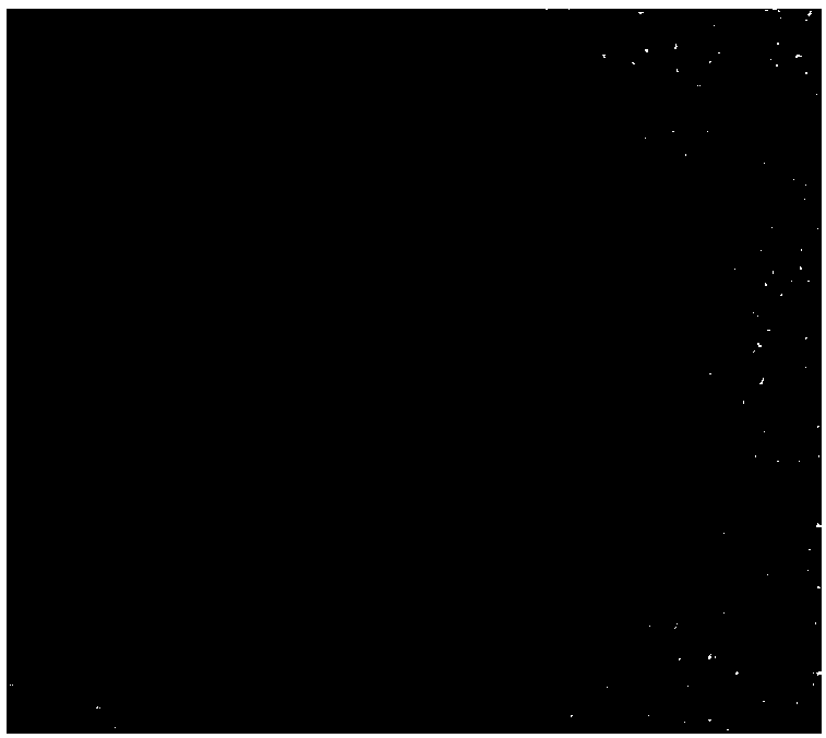 Method for preparing drug balloon