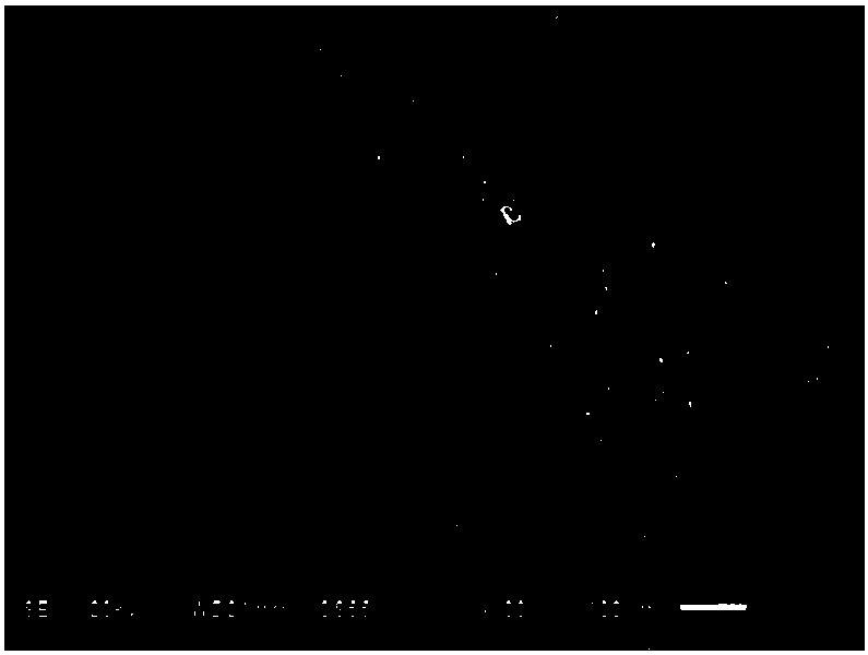 Method for preparing drug balloon