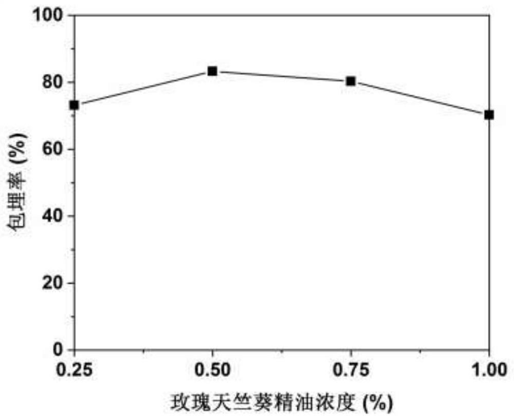 Preparation method of rose geranium essential oil microcapsules with good oxidation resistance and antibacterial properties