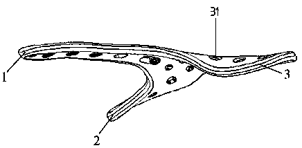 Fixing device for shoulder blade