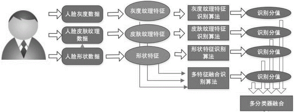 Multi-feature fusion identification algorithm used for human face comparison