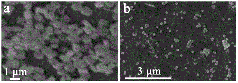 Method for preparing high-performance B-ZSM-5 molecular sieve membrane in dilute synthesis solution