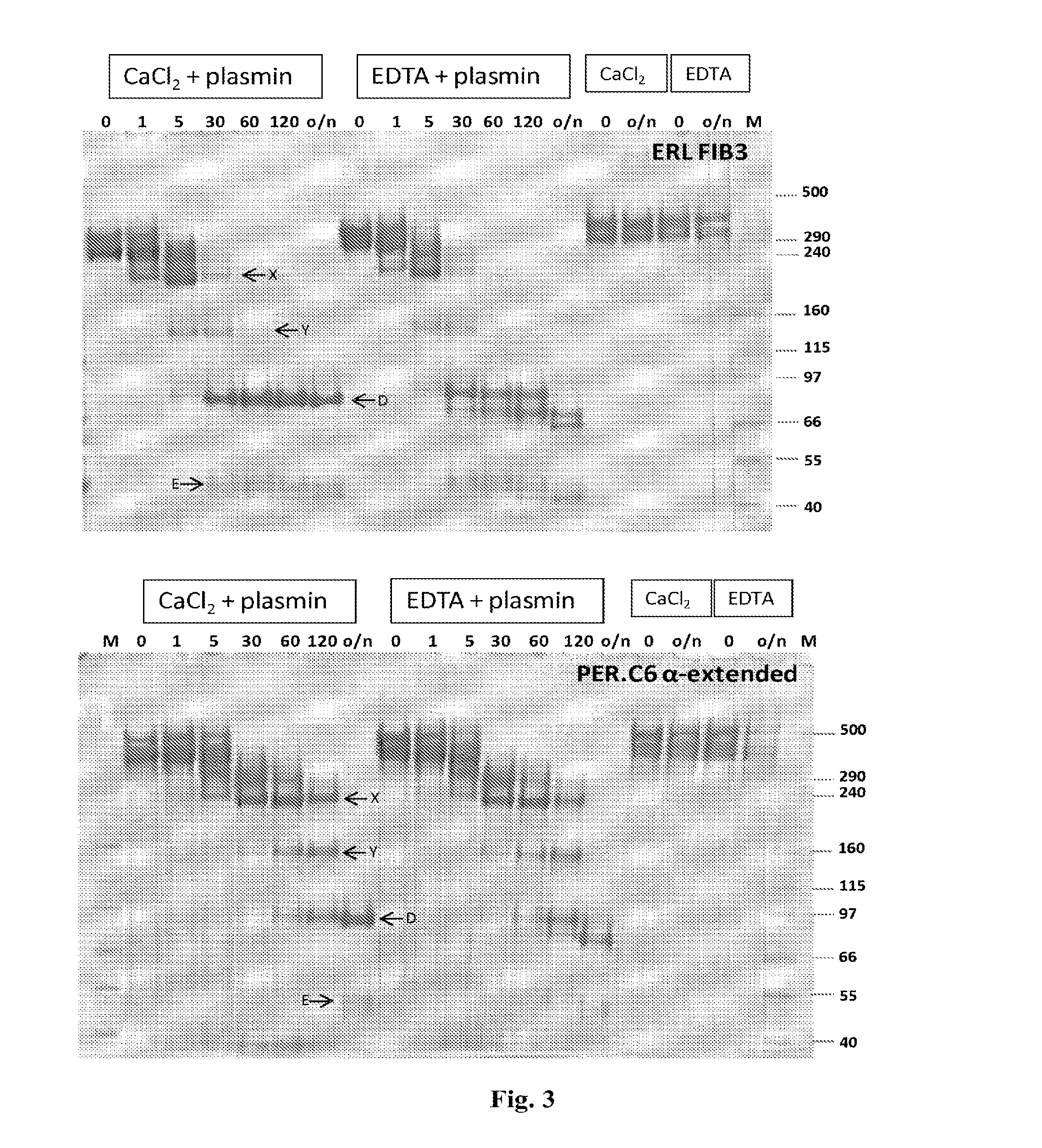 Fibrinogen Preparations Enriched in Fibrinogen With An Extended Alpha Chain